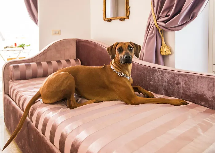 Trastevere Royal Suite Roma